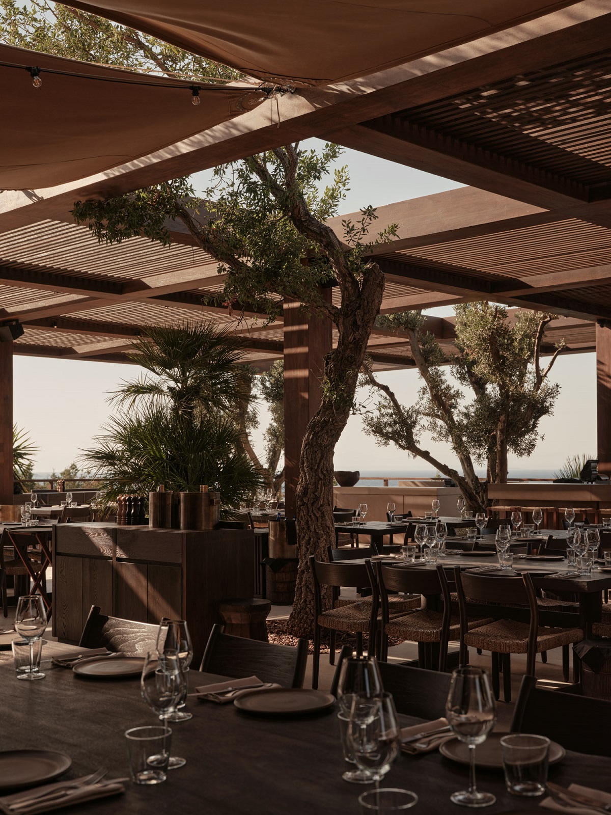 outdoor restaurant with trees and sailcloth