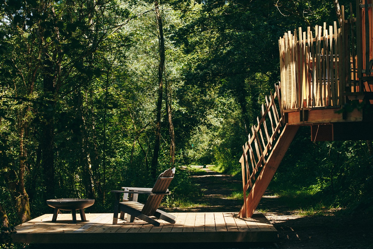 wooden deck in forest with steps leading up into wooden cabin