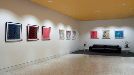 Richard Allan London silk scarves framed as artwork in a public area