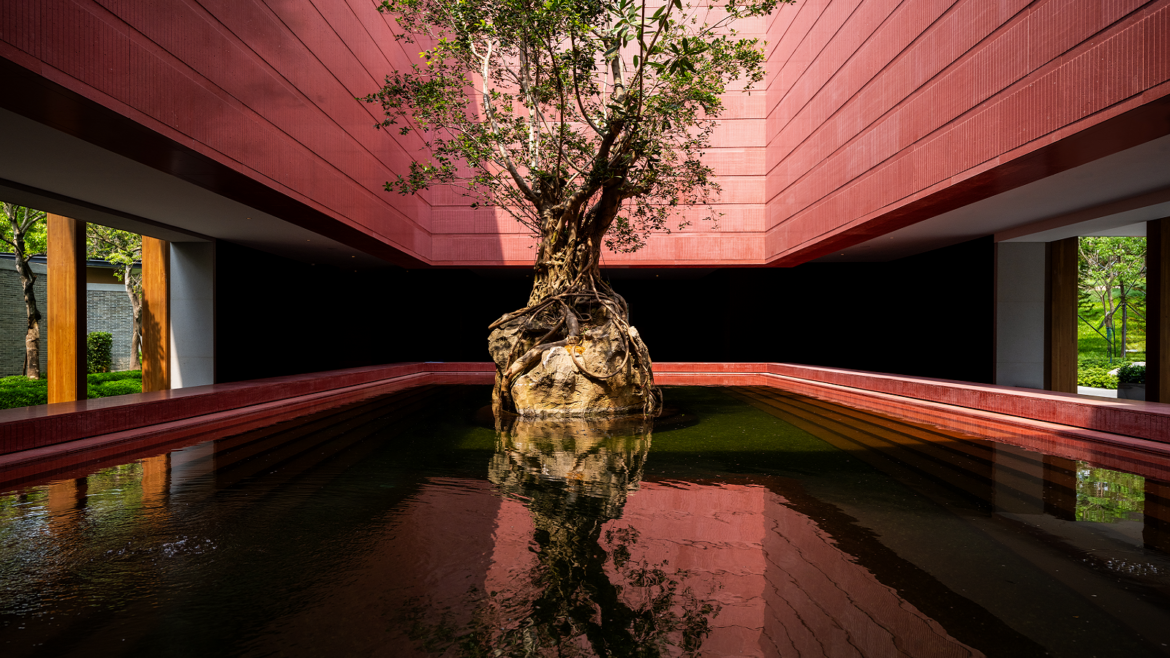 tree in lake in the arrival experience at Banyan Tree Dongguan Songshan Lake Resort