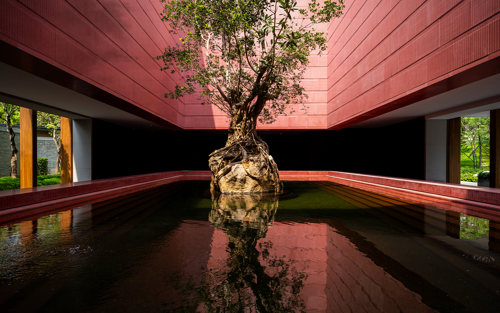 tree in lake in the arrival experience at Banyan Tree Dongguan Songshan Lake Resort