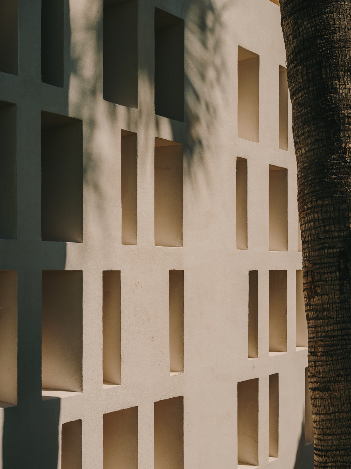 textured facade detail with palm tree shadow