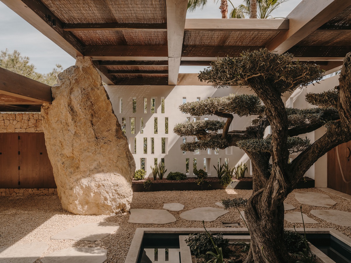 olive tree rising from a tranquil water feature in HIGHSTAY villa in Ibiza