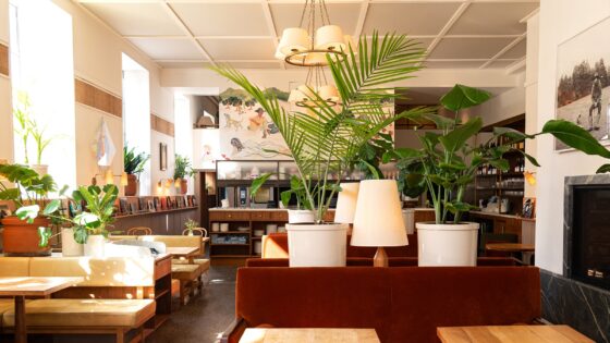 restaurant with plants Hotel Kinsley, Kingston’s first destination hotel
