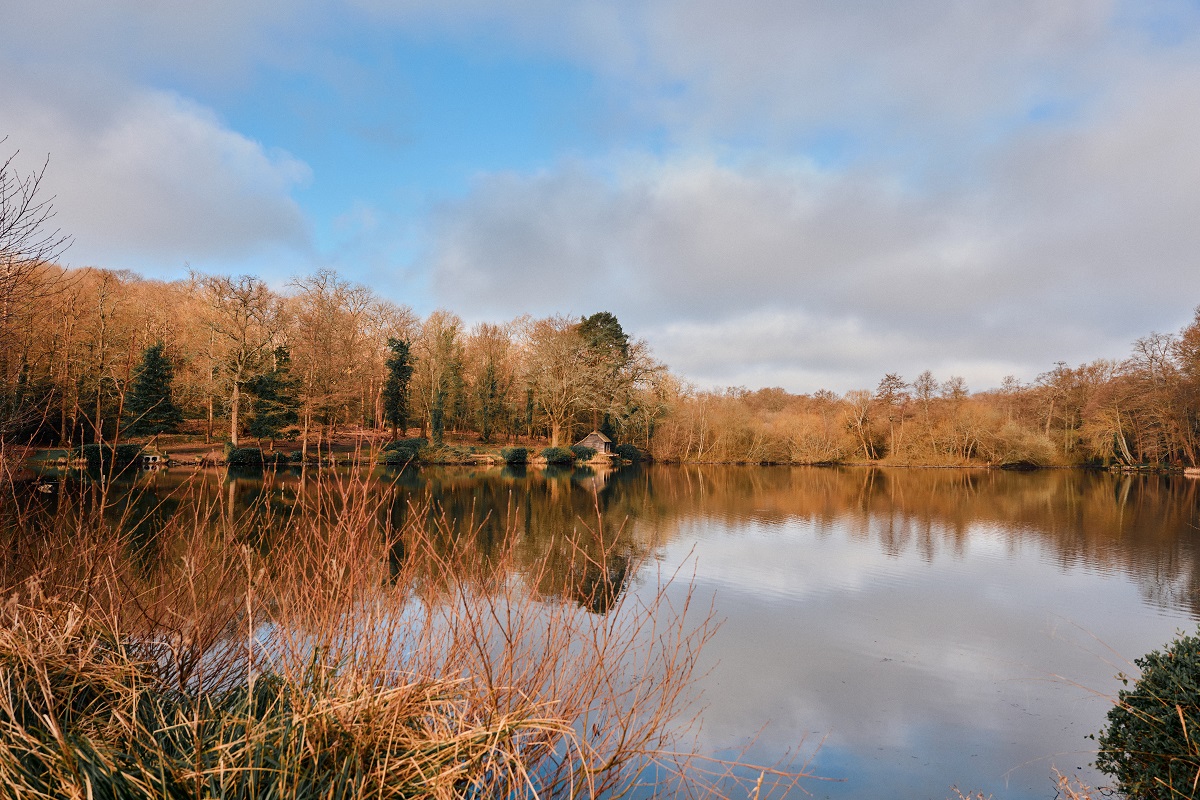 dam and woods on location at Crafted at Powdermills