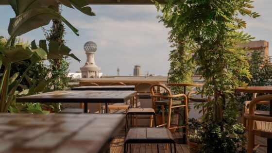 view from La Terraza roof top bar at Pulitzer Barcelona framed by plants