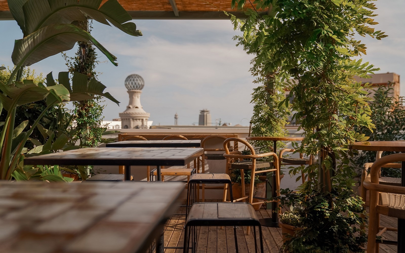 view from La Terraza roof top bar at Pulitzer Barcelona framed by plants