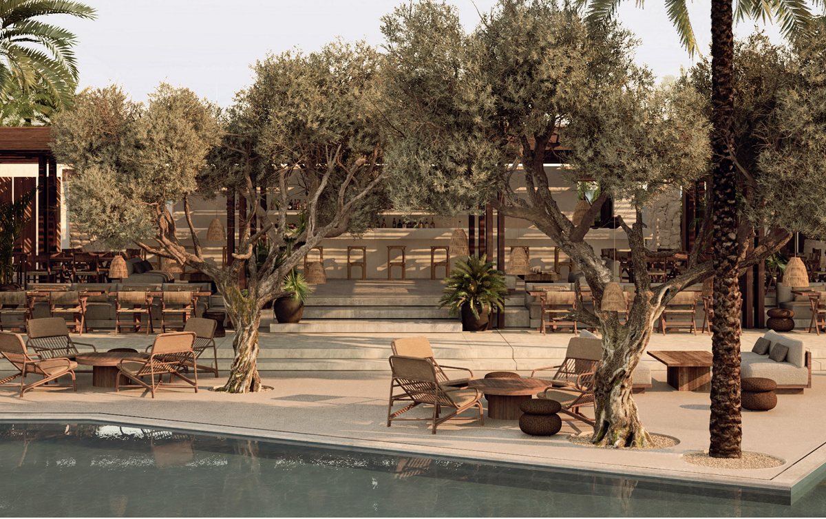 olive trees and outdoor seating at Paros hotel