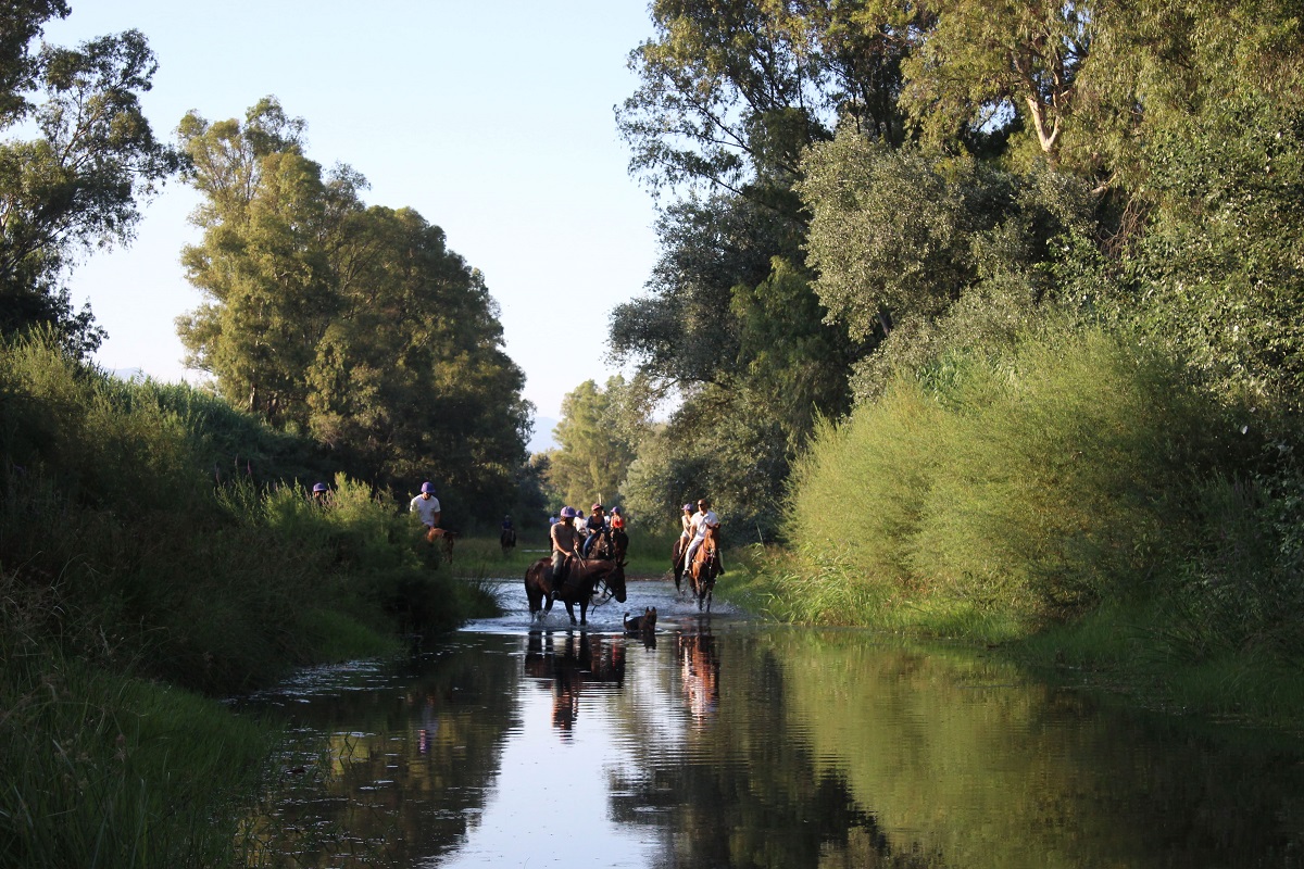 horse riding through a river bed in Polo Valley Spain