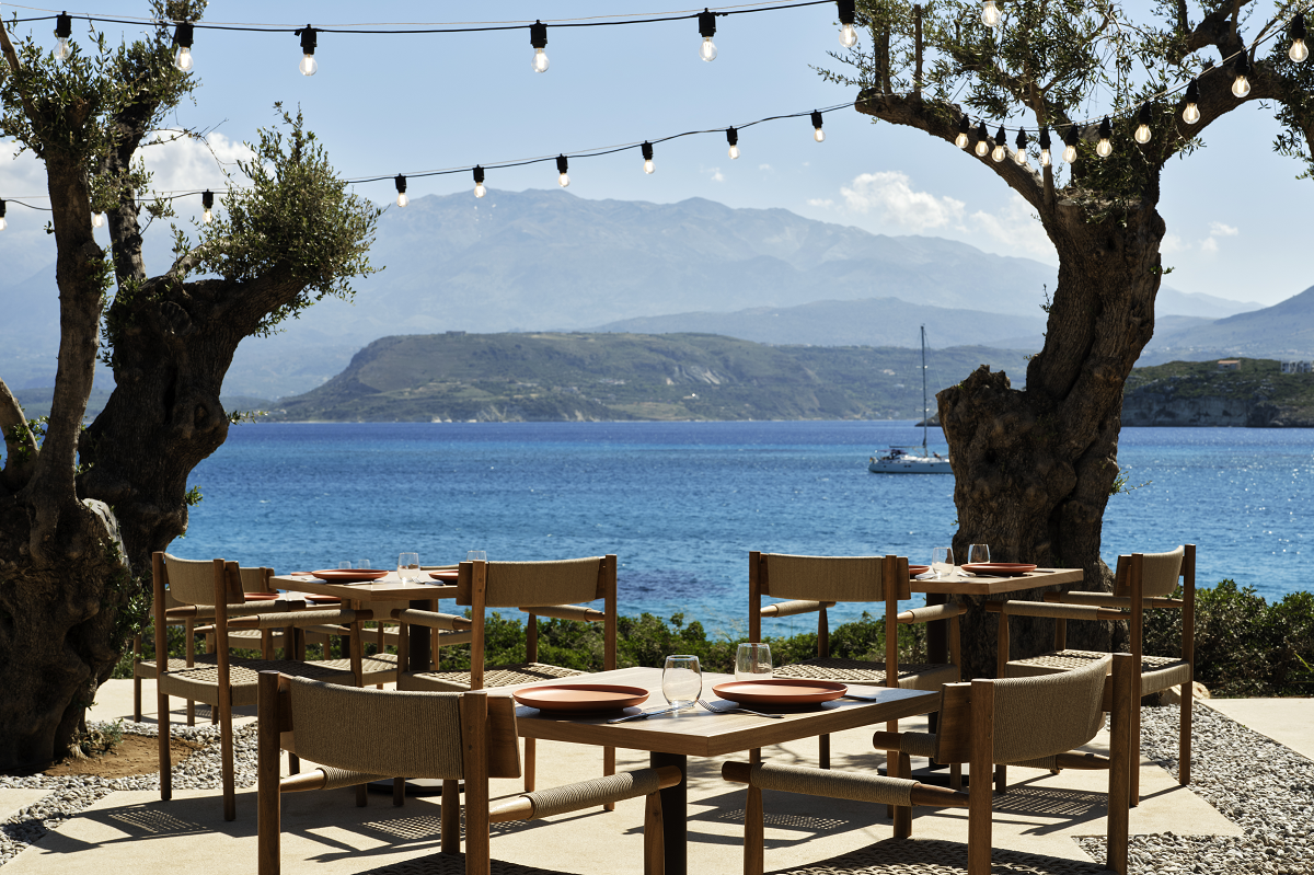 olive trees with fairy lights and outdoor restaurant tables and chairs