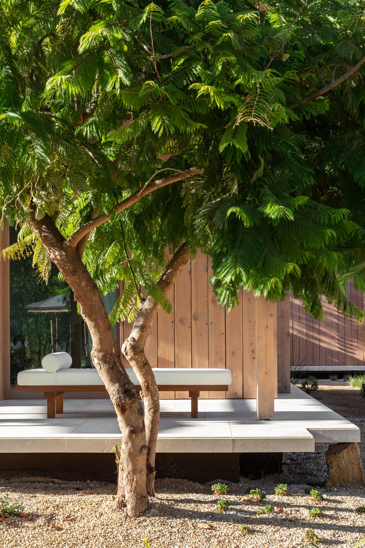 tree in front of cabin deck and lounger