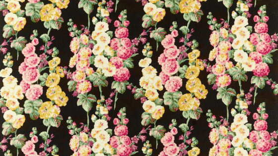 Hollyhocks fabric by Sanderson with black background and repeating pattern of a yellow, pink and cream hollyhock
