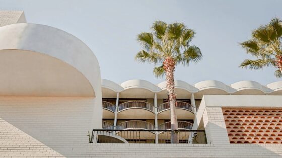 palm trees and facade The Calile Hotel Australia