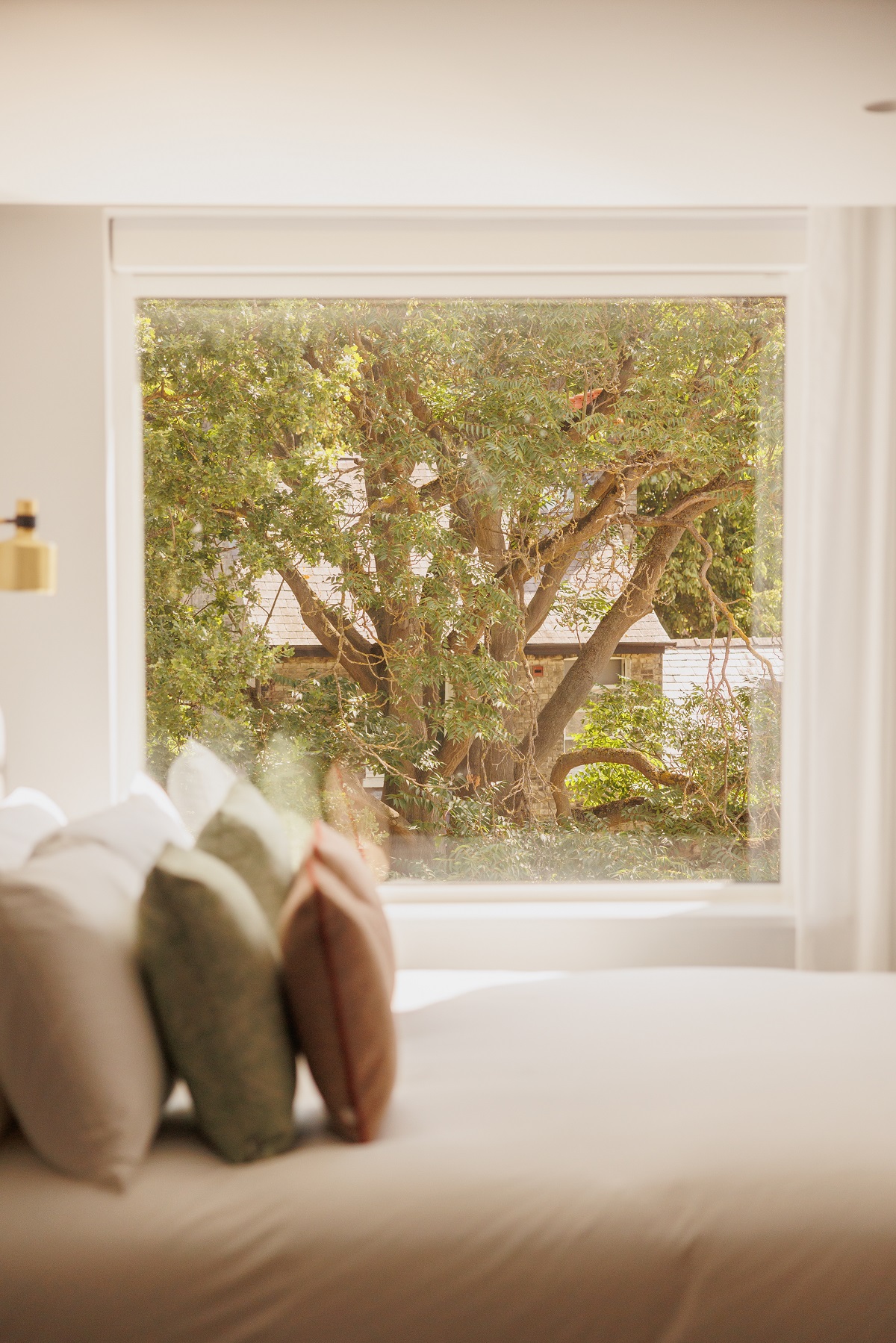 cushions on bed detail with window view at Wilde Cambridge