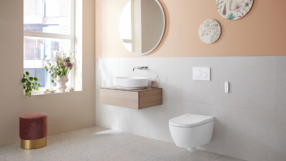 2024_Geberit AquaClean Alba_Urban_Remote control_Sigma20 round_VariForm_Option_light off