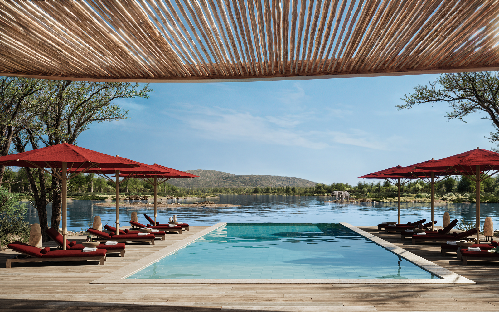 swimming pool at Ubuyu, a Banyan Tree Escape, rooted in place