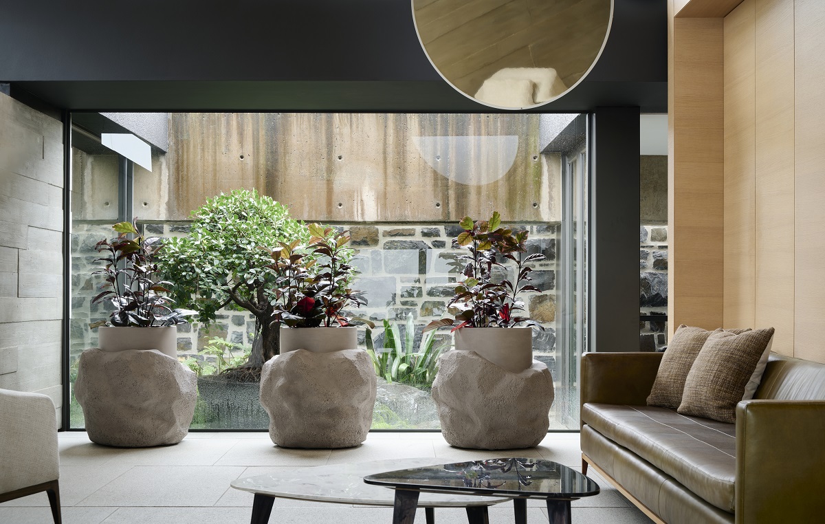 plants in sculptural pots in a line in front of glass wall