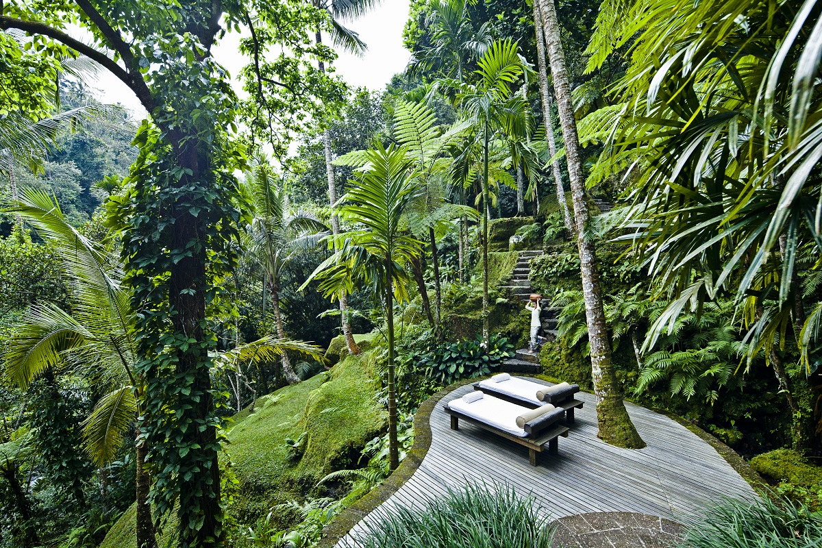 wooden platform with relaxing sunloungers in the jungle at Shambhala