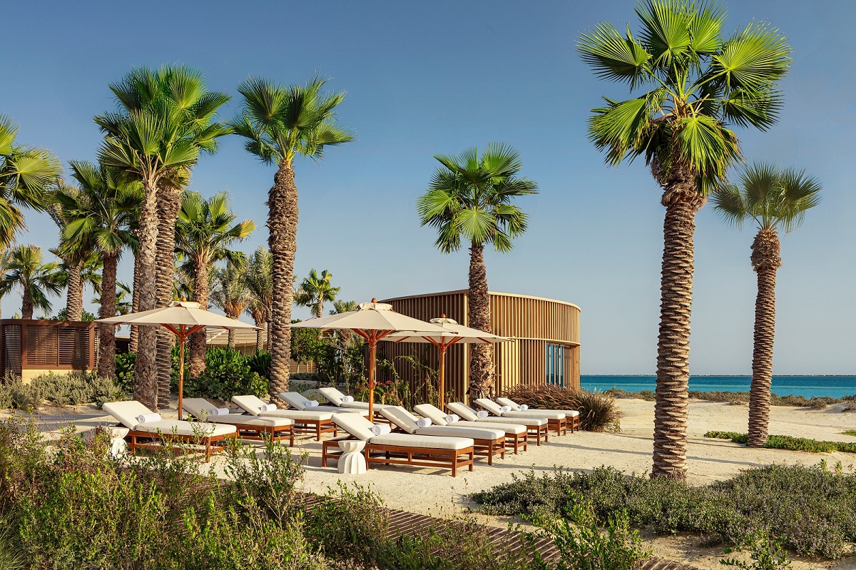 palm trees on beach with umbrellas and loungers 
