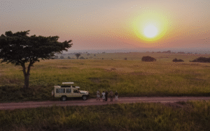 sunset over savannah in Uganda with thorn tree and landrover