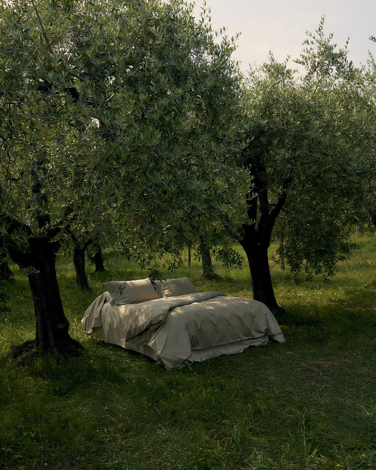 bed in olive grove with Frette bedlinen