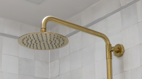 ABI Interiors brass shower head