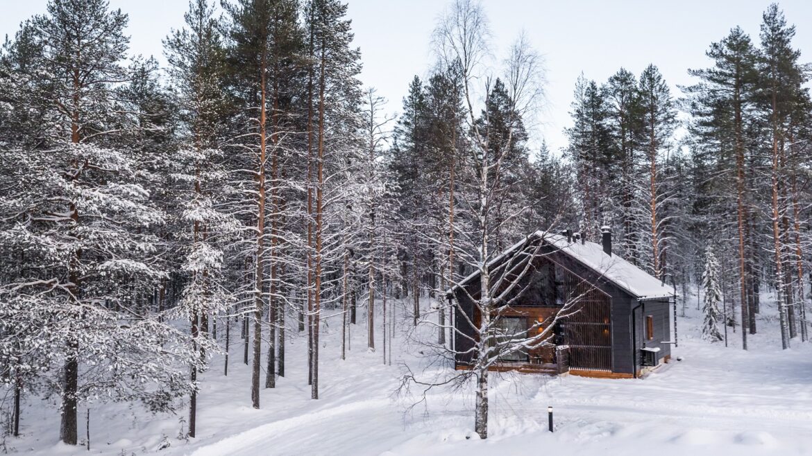 log cabin in snow and woods - Skyra retreat log suite