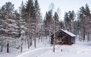 log cabin in snow and woods - Skyra retreat log suite