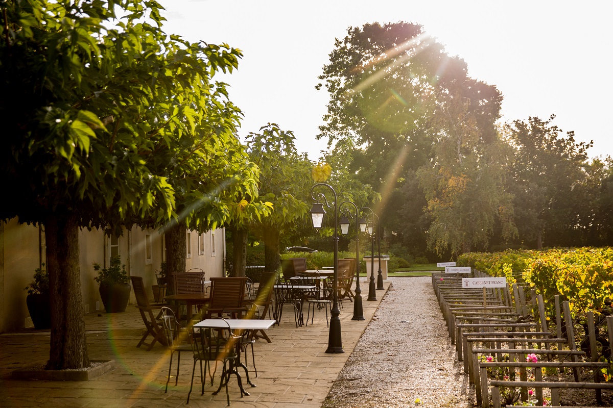 tables under the trees by Bordeaux vineyard