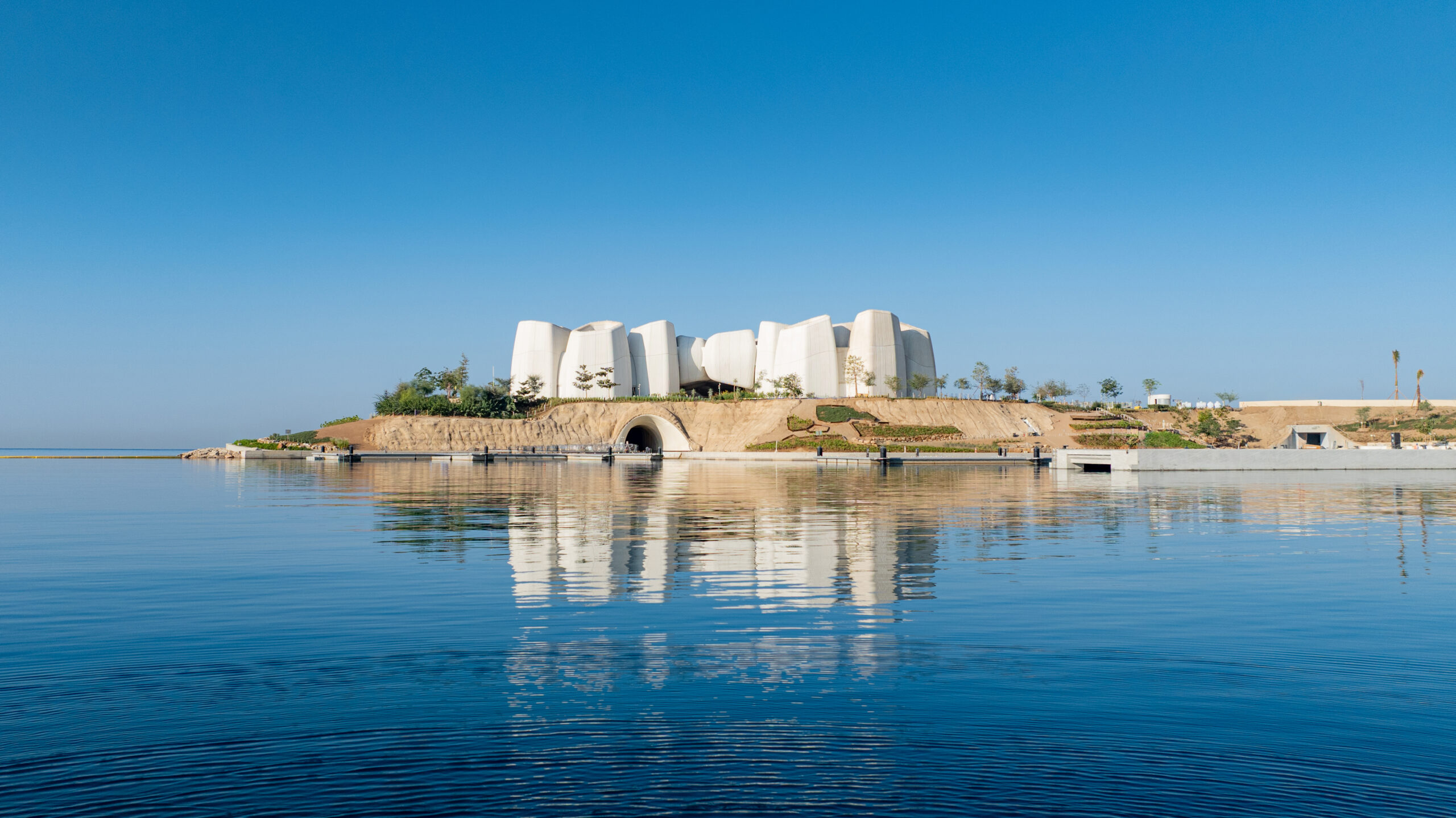 Corallium Marine Life Institute