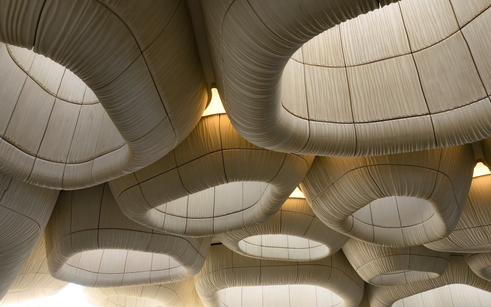 Interior of Corallium Marine Institute