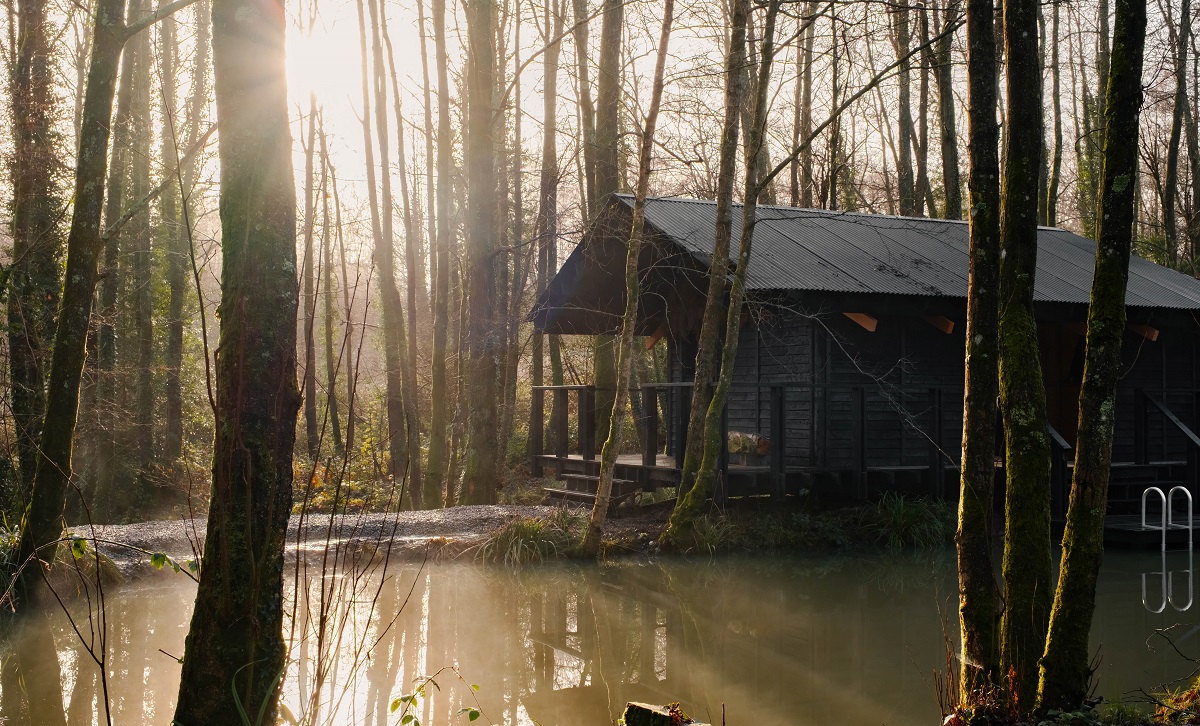Architects Holiday cabin on lake in woods dusk light