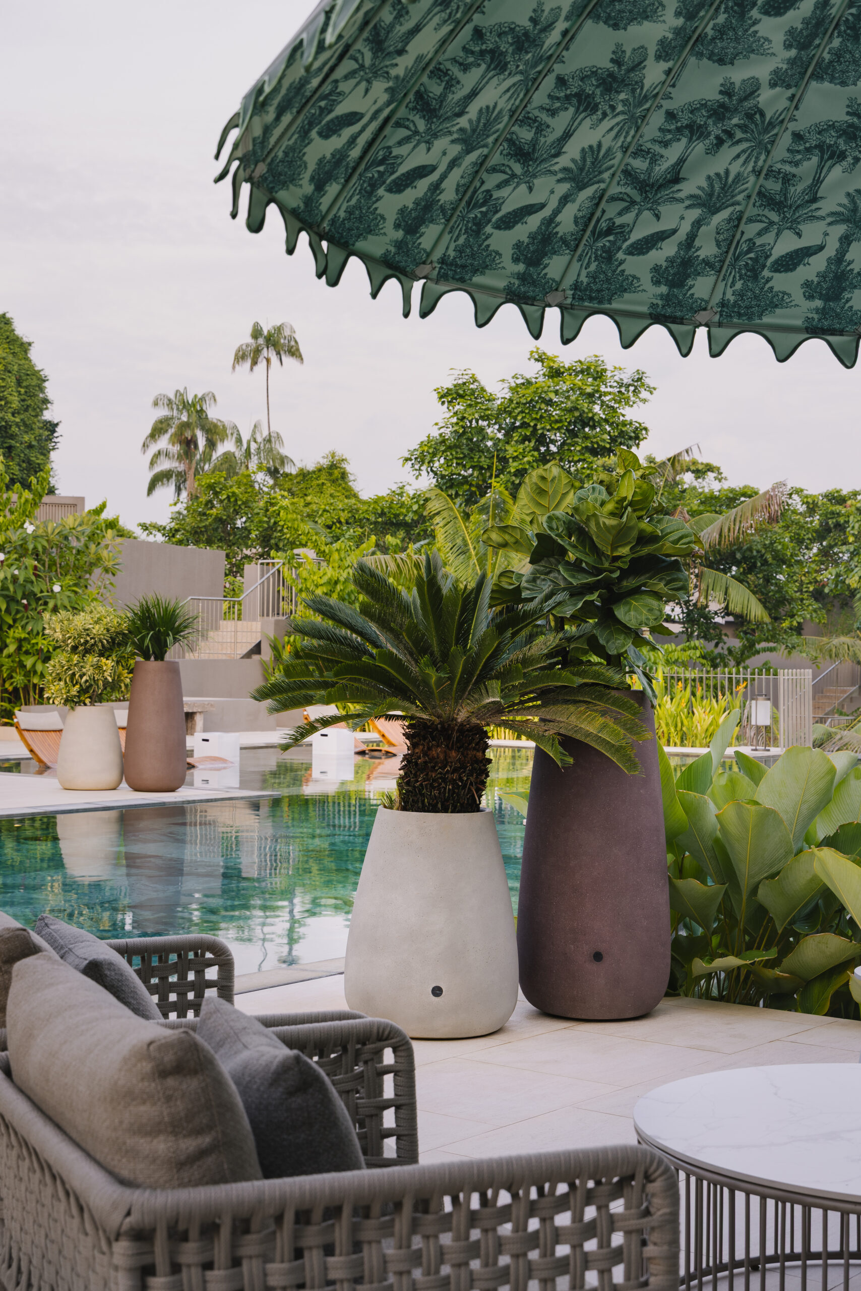 Image credits: Daniel Koh, 2025.