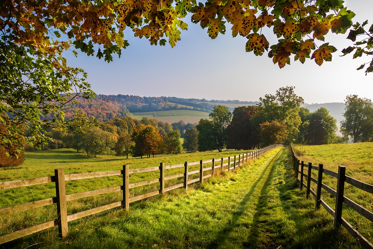 autumn footpath in the english countryside with colourful leaves