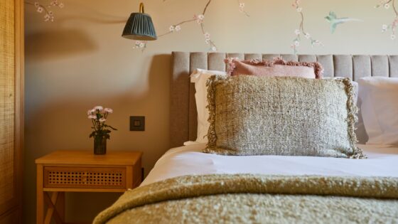 The Tawny Hotel - The Owlets
