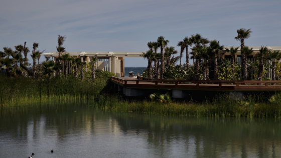 Amanvari, Mexico - Accommodation, Beachfront Casita,