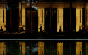 The PuLi silhouette image