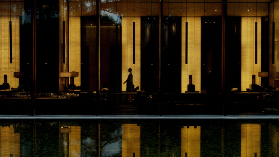 The PuLi silhouette image