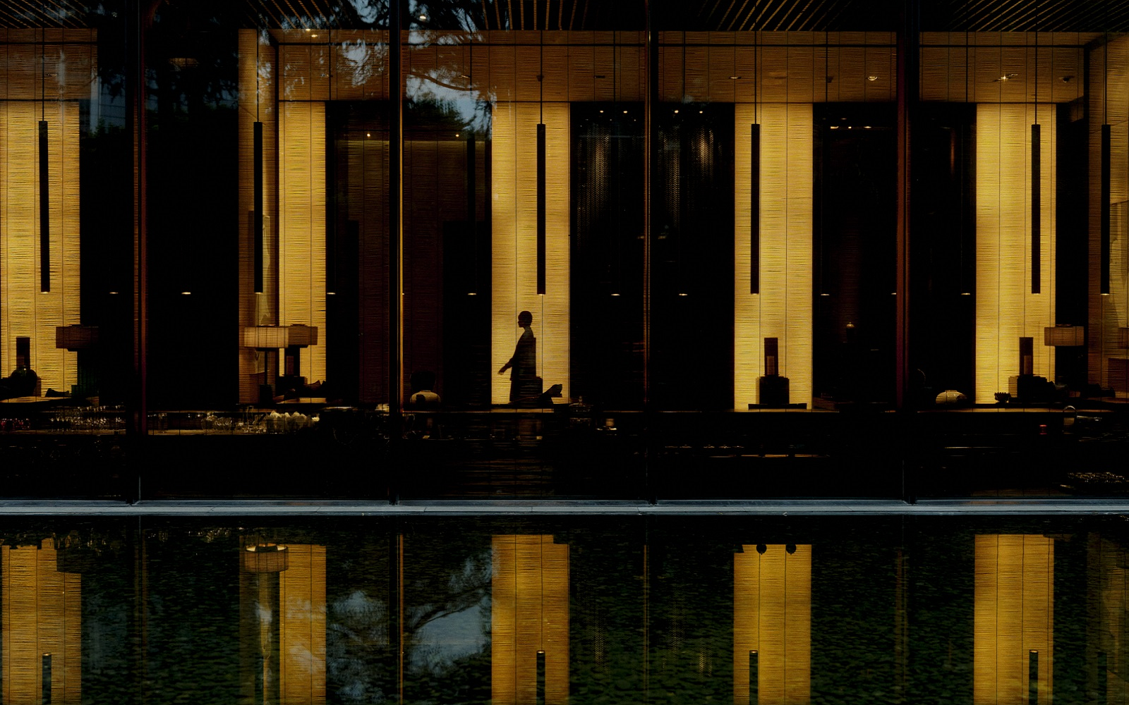 The PuLi silhouette image