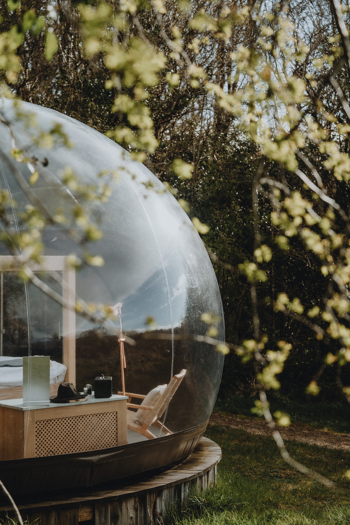 The iconic Bubble Domes invite guests to sleep beneath the stars within ancient woodland