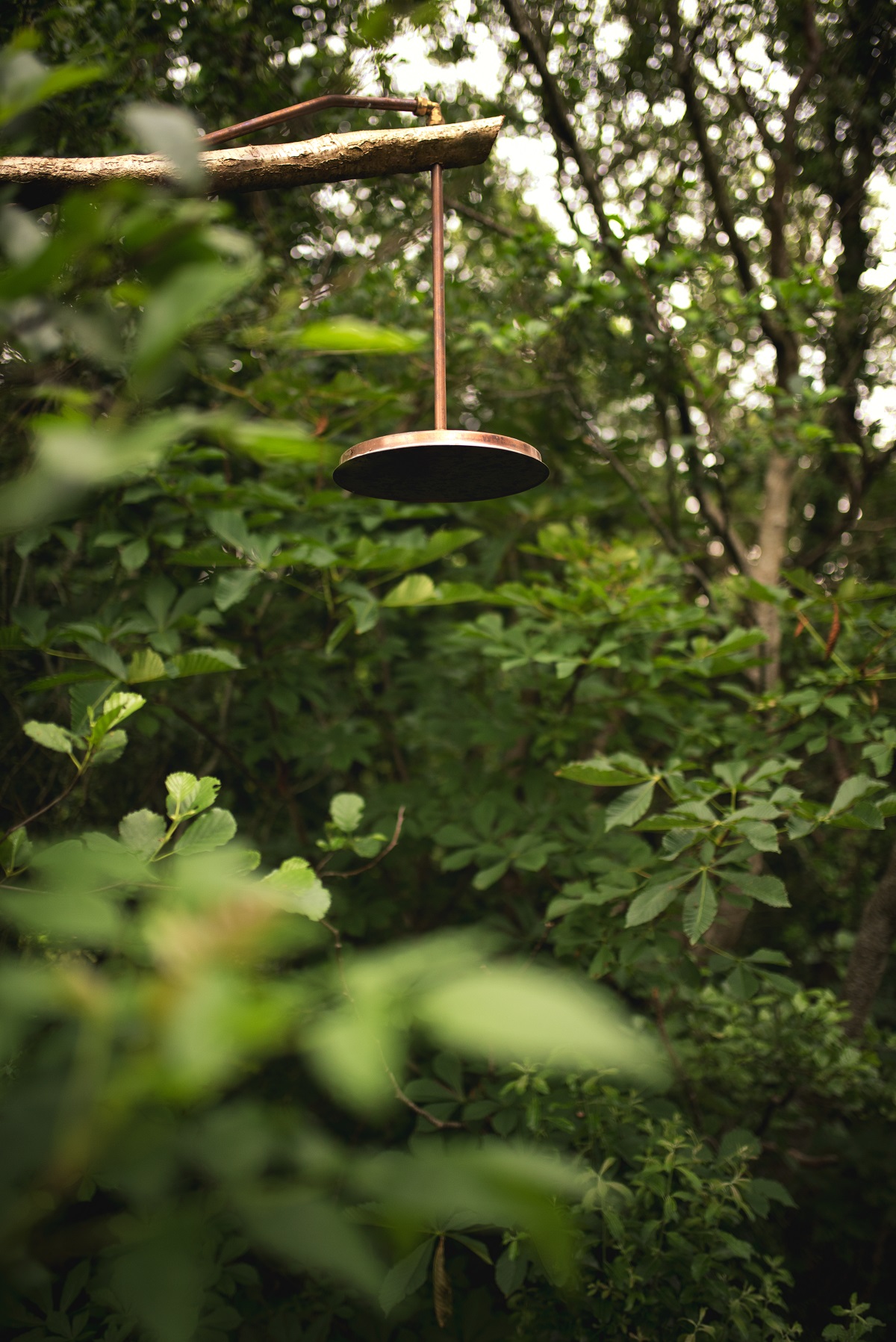 open air forest shower