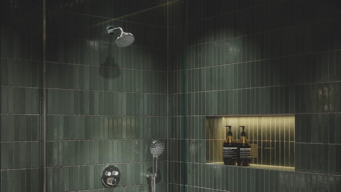 GROHE Euphoria 120 hand shower with Aqua Booster technology