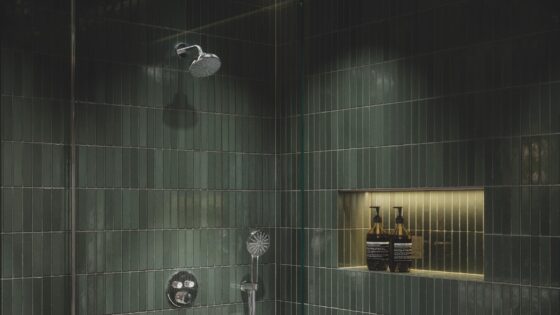 GROHE Euphoria 120 hand shower with Aqua Booster technology