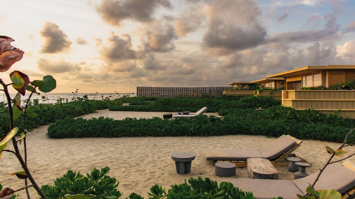 Designed by Ezequiel Ayarza Sforza Kymaia blends environmental regeneration with sustainable design, celebrating biodiversity in every detail