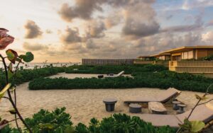 Designed by Ezequiel Ayarza Sforza Kymaia blends environmental regeneration with sustainable design, celebrating biodiversity in every detail