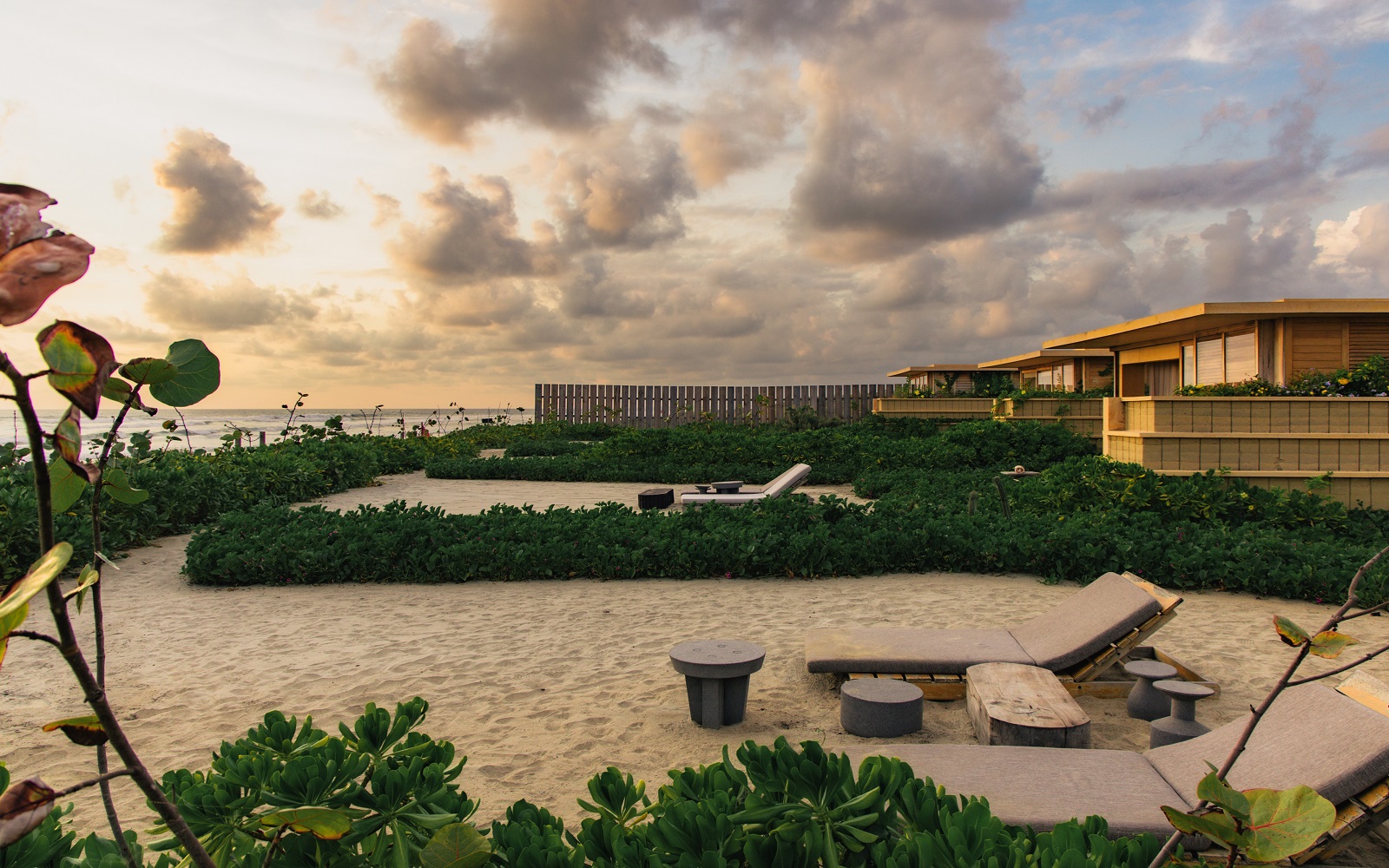Designed by Ezequiel Ayarza Sforza Kymaia blends environmental regeneration with sustainable design, celebrating biodiversity in every detail
