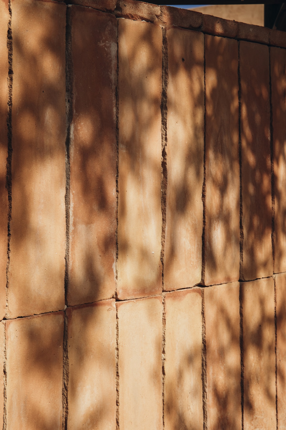 terracotta brick wall and shadows