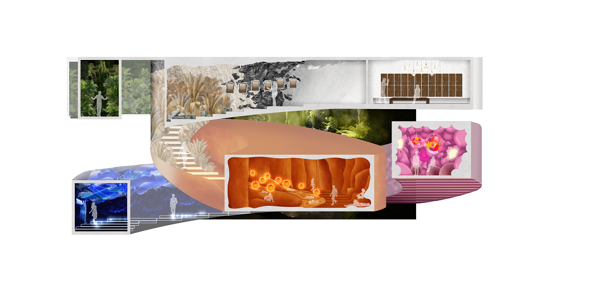 diagram from anamo describing the wellness concept Ascension