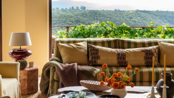 Tamodi Estate South Africa - couch in front of a window with view onto vines and mountains