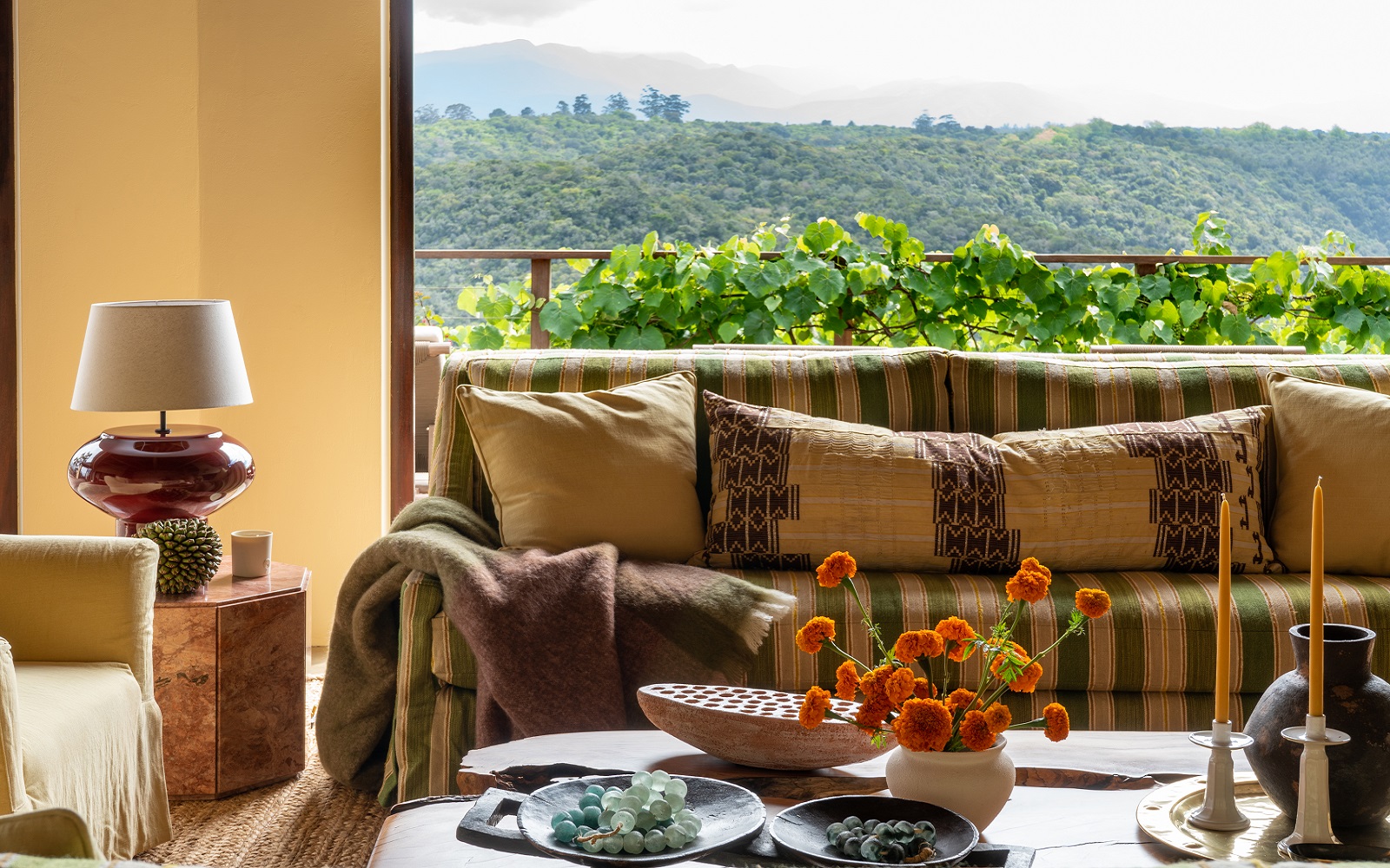 Tamodi Estate South Africa - couch in front of a window with view onto vines and mountains